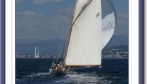 Moonbeam of Fife - Photo Credit - Gösta Odelberg
